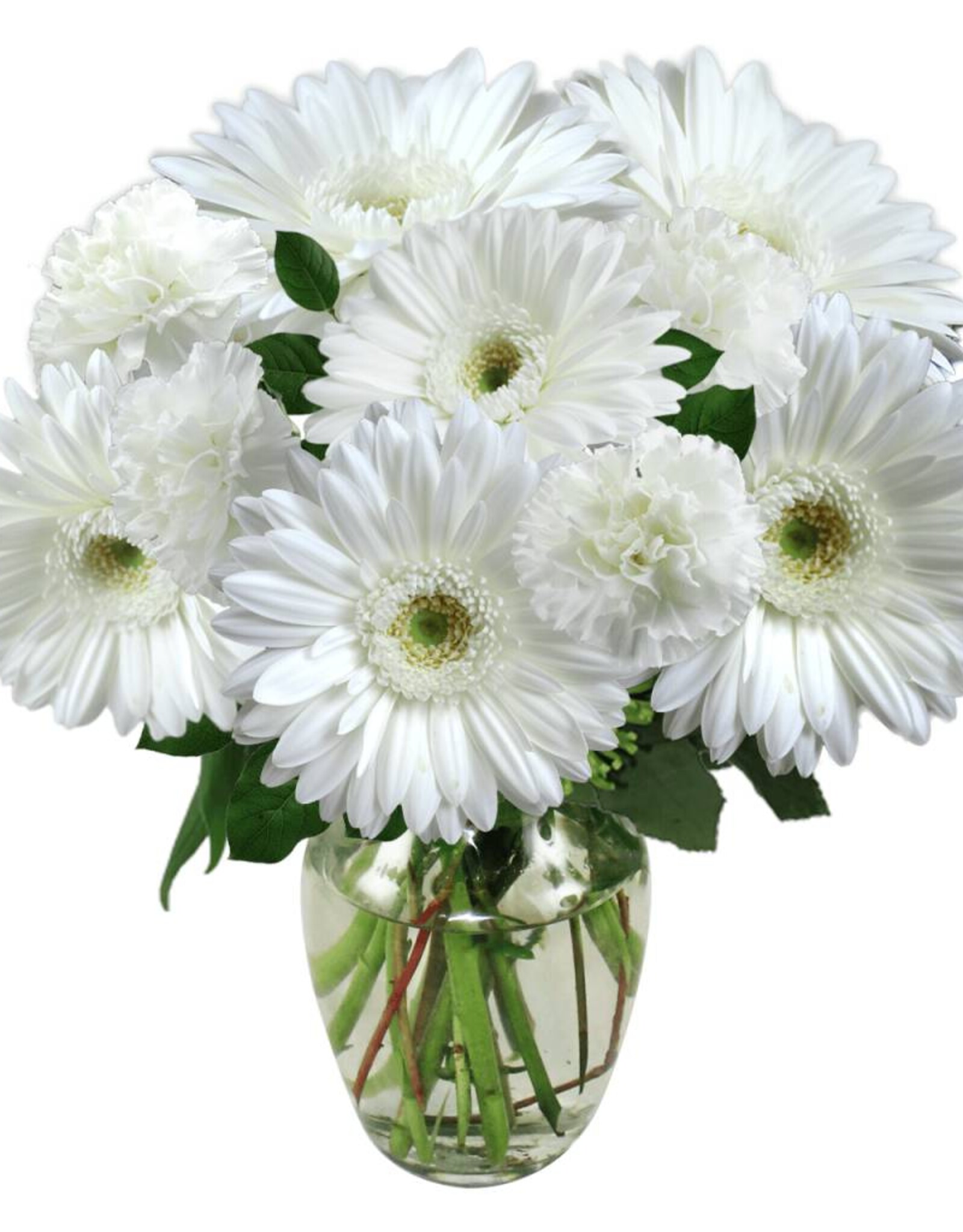 Flower expressions White daisy bouquet