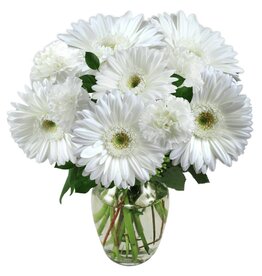 Flower expressions White daisy bouquet